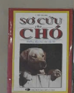 Sơ Cứu Cho Chó